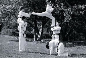 taekwondo en el parque